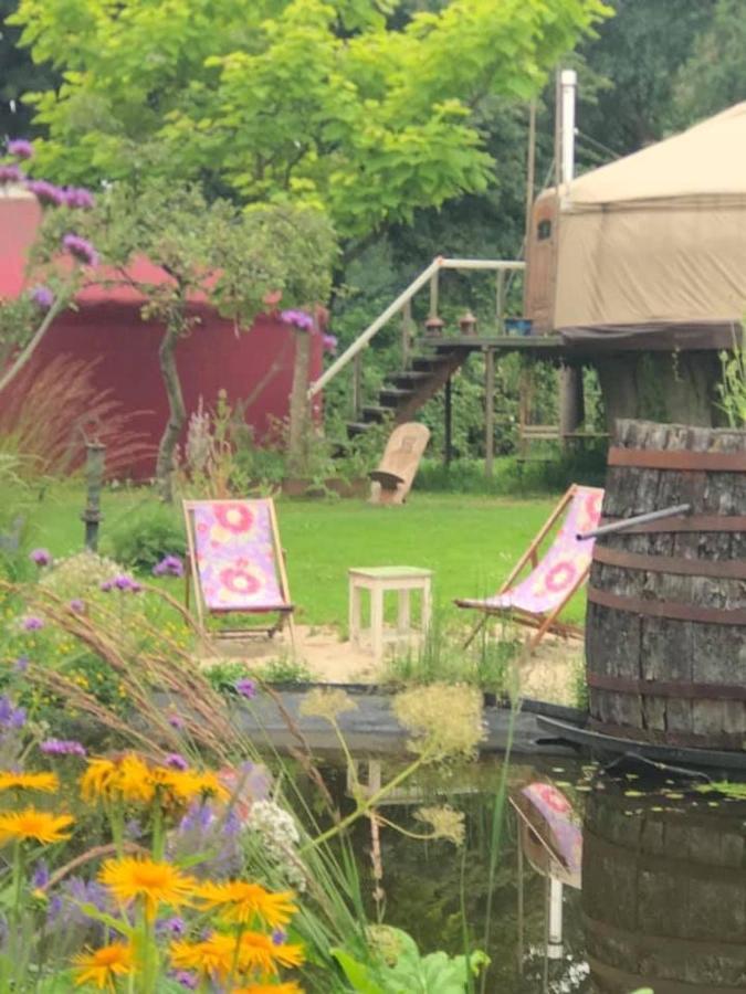 암스테르담 Reijgershof B&B 외부 사진