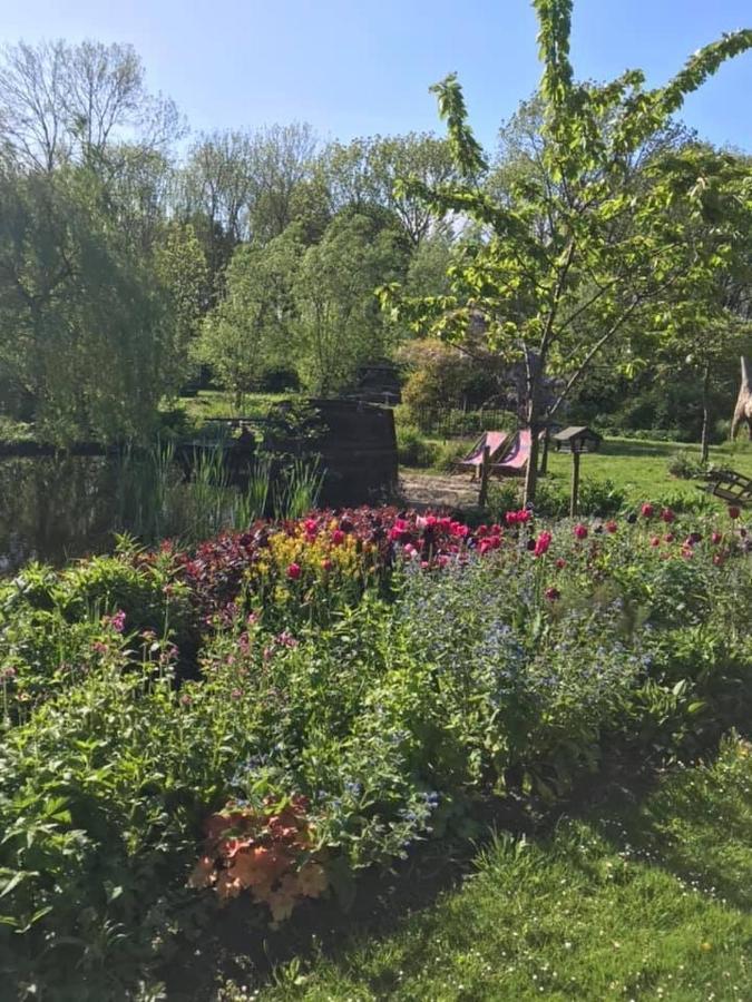 암스테르담 Reijgershof B&B 외부 사진